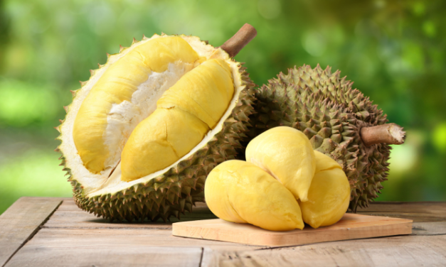 Buah Tropis Durian Yang Sangat Di Gemari Banyak Orang