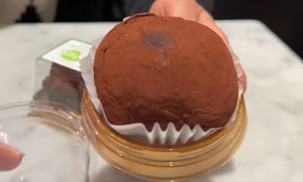 Dujjonku Hadir Sebagai Camilan Viral Korea Selatan