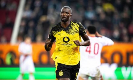 Tim Bola Jerman Yang Memiliki Klub Borussia Dortmund
