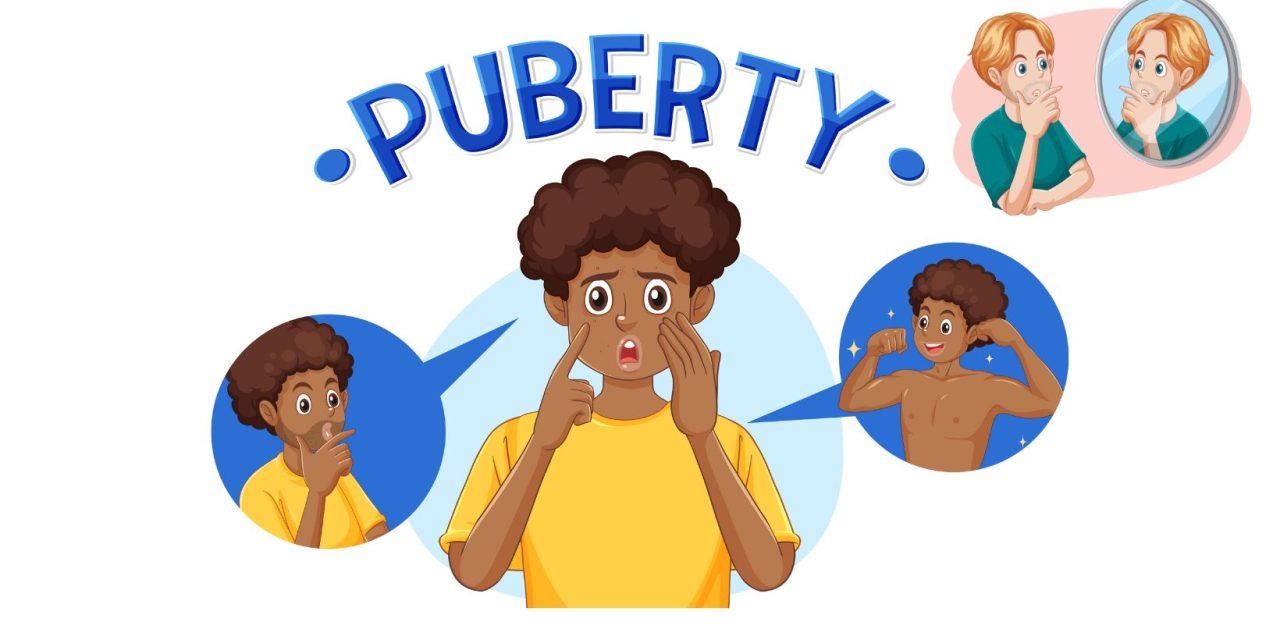 Beranjak Dewasa Atau Masa Pubertas Pada Seseorang