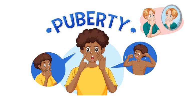 Beranjak Dewasa Atau Masa Pubertas Pada Seseorang