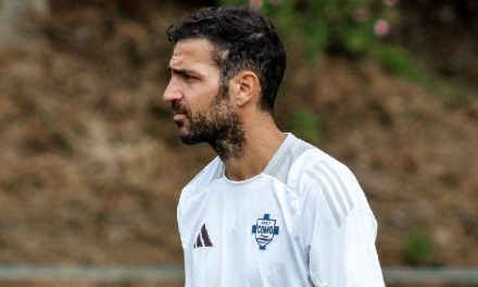 Cesc Fabregas Pemain Handal Di Dalam Lapangan Hijau