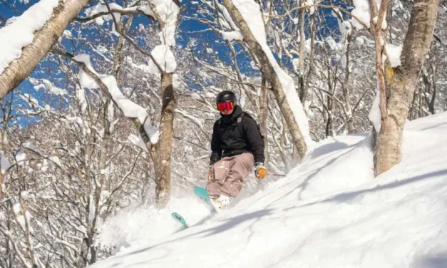 Kegiatan Musim Dingin Ski Di Atas Salju