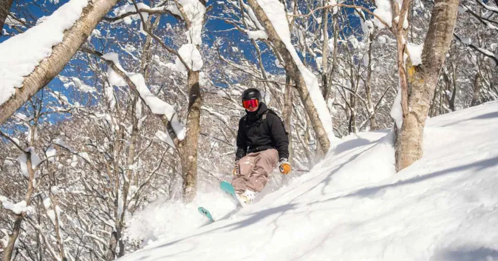 Kegiatan Musim Dingin Ski Di Atas Salju