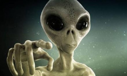 Makhluk Alien Yang Berasal Dari Luar Angkasa