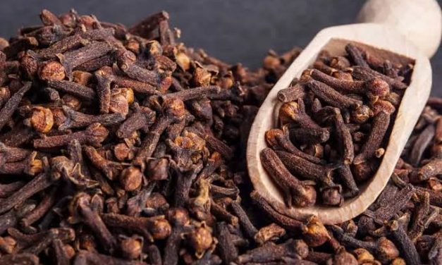 Bahan Alami Rempah Cengkeh Yang Banyak Di Olah