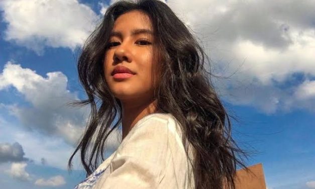 Sosok Terkenal Artis Di Dunia Maya Dan Entertainment