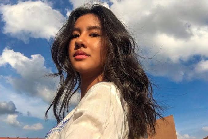 Sosok Terkenal Artis Di Dunia Maya Dan Entertainment