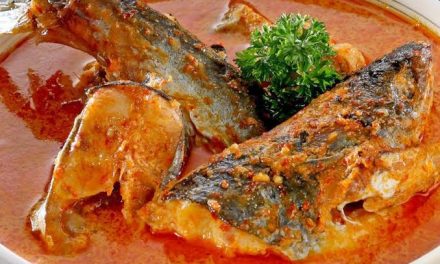 Makanan Unik Tempoyak Yang Cukup Tradisional