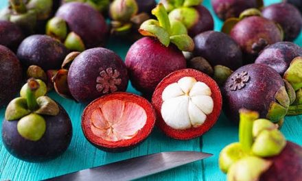 Musim Tropis Memberikan Buah Manggil Yang Bermanfaat